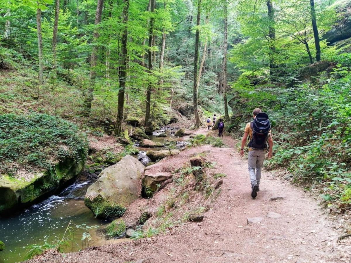 Nice Tent Lodge On A Campsite, Adjacent To The Forest, 27 Km From Luxembourg Medernach 外观 照片